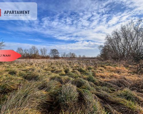 Tylko u nas! Działka 1,5ha, staw, pomost, WZ