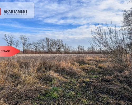 Tylko u nas! Działka 1,5ha, staw, pomost, WZ