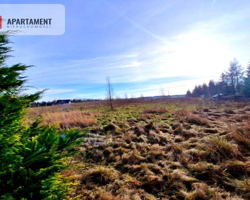 Wymarzone miejsce na dom z widokiem na las!