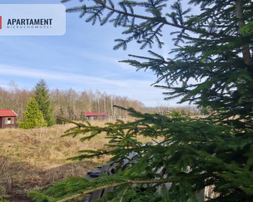 Wymarzone miejsce na dom z widokiem na las!