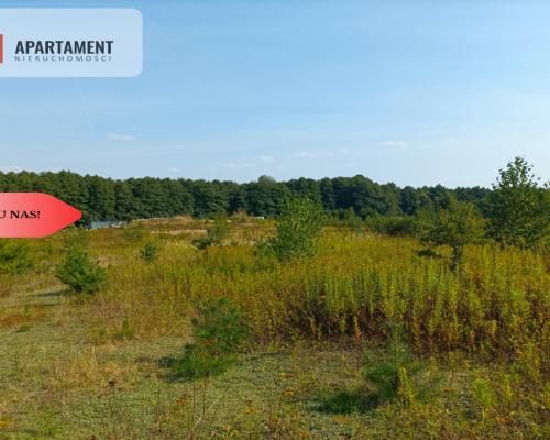 TYLKO U NAS !!! ATRAKCYJNA BLISKO STELCHNA I LASU