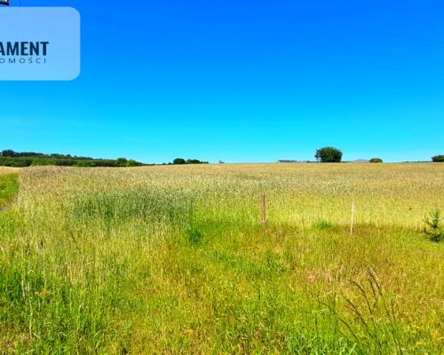 Duża działka blisko jeziora z warunkami zabudowy!