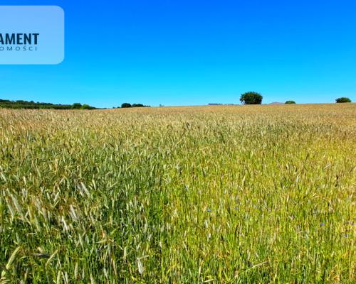 Duża działka blisko jeziora z warunkami zabudowy!