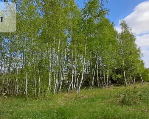 Działka z widokiem na jezioro - MPZP