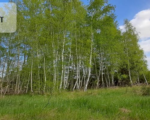 Działka z widokiem na jezioro - MPZP
