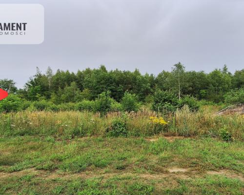 Działka budowlana pod lasem- Dolnik