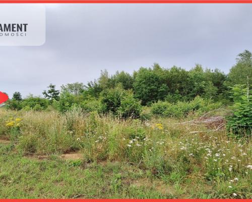 Działka budowlana pod lasem- Dolnik