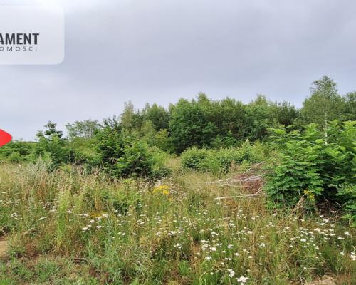 Działka budowlana pod lasem- Dolnik