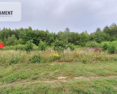 Działka budowlana pod lasem- Dolnik