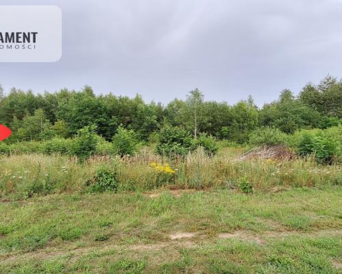 Działka budowlana pod lasem- Dolnik