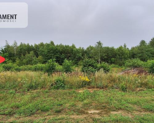 Działka budowlana pod lasem- Dolnik