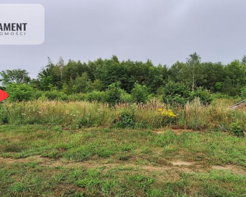 Działka budowlana pod lasem- Dolnik