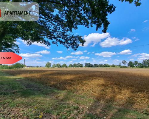 Działka z WZ / Małe Rudy