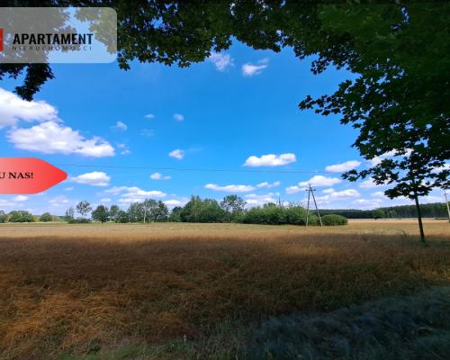 Działka z WZ / Małe Rudy