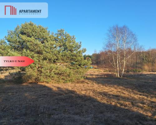 Działki 1385 m² i 1926 m² w leśnej otulinie z WZ