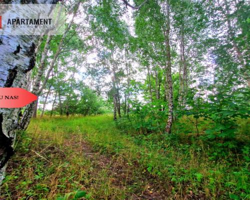 Tylko u Nas! Duża działka usługowo-mieszkalna!