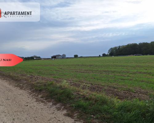 Działka pod inwestycję /Blisko drogi 3