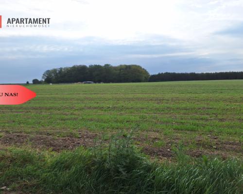 Działka pod inwestycję /Blisko drogi 3