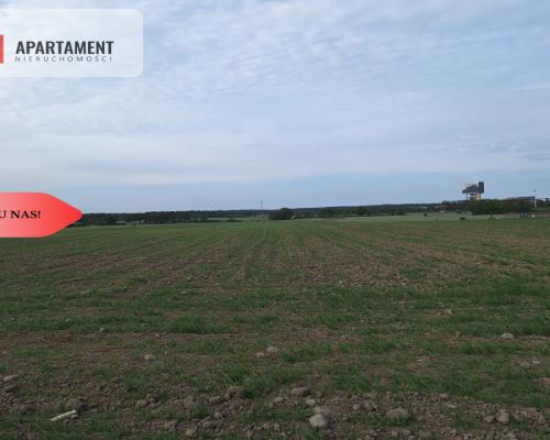 Działka pod inwestycję /Blisko drogi 3