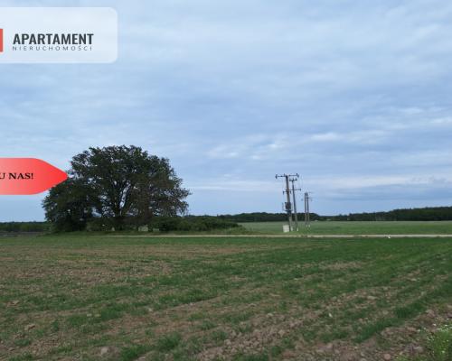 Działka pod inwestycję /Blisko drogi 3