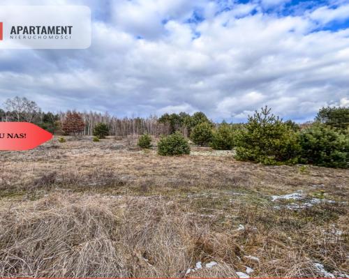 Tylko u nas! Działka 3229m² Krąplewice przy lesie