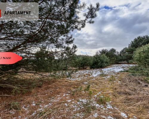 Tylko u nas! Działka 3229m² Krąplewice przy lesie