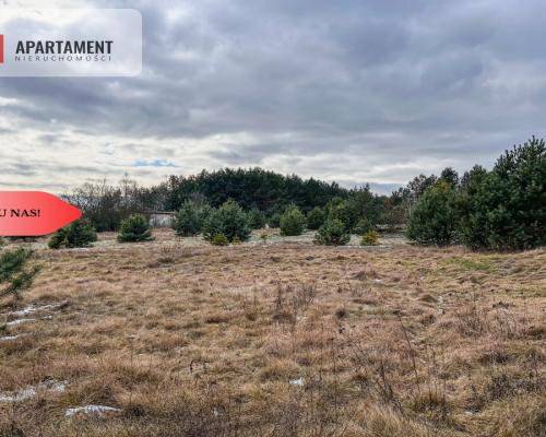 Tylko u nas! Działka 3229m² Krąplewice przy lesie