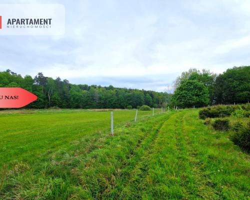 Działki w Miradowie. Promocja