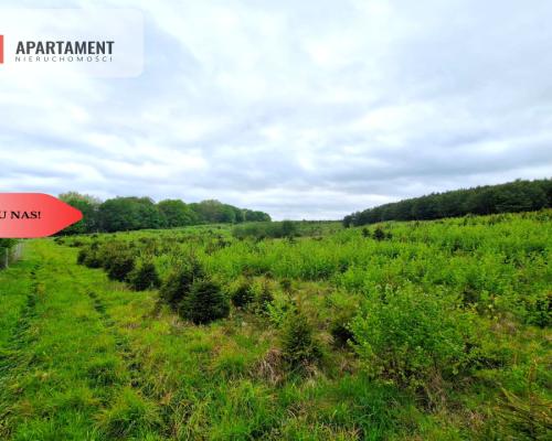 Działki w Miradowie. Promocja