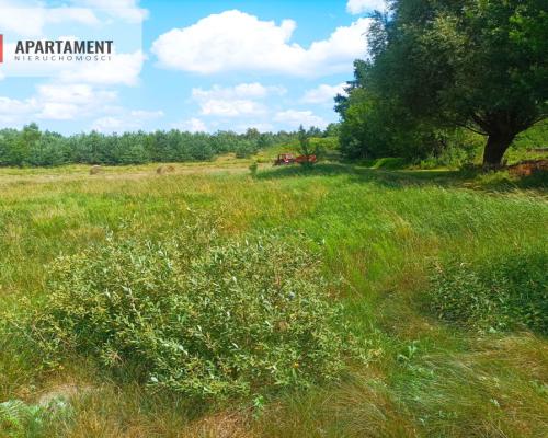 Pięknie położona duża działka w Sarnowie