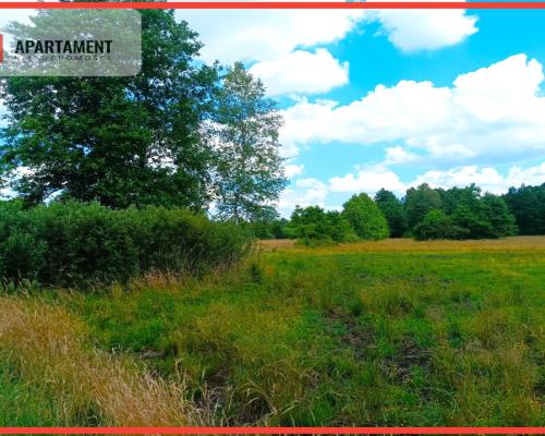 Pięknie położona duża działka w Sarnowie