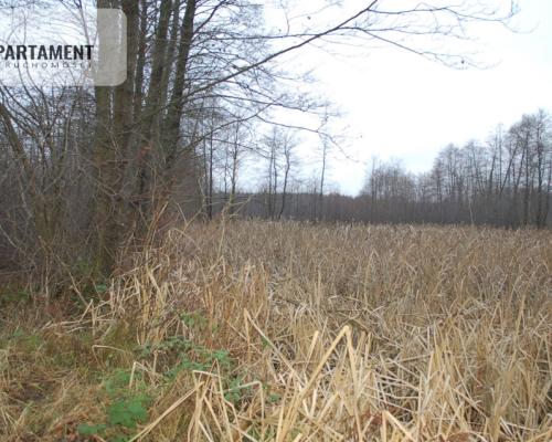 Pięknie położona duża działka w Sarnowie