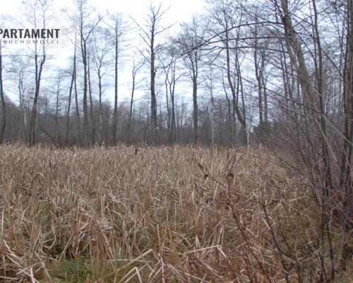 Pięknie położona duża działka w Sarnowie