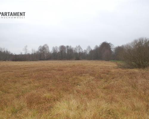 Pięknie położona duża działka w Sarnowie