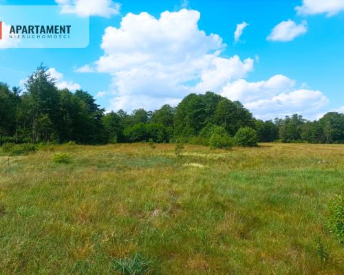 Pięknie położona duża działka w Sarnowie