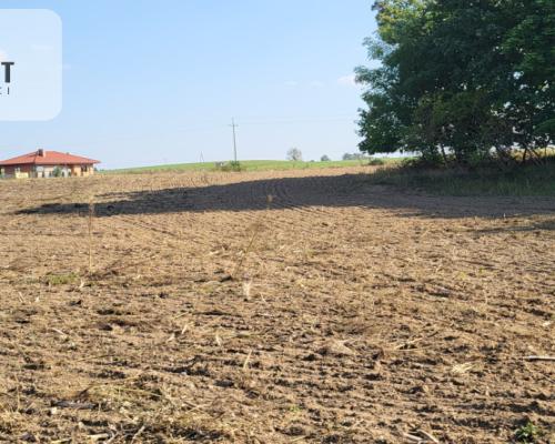 Działki z projektem WZ