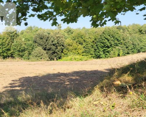 Działki z projektem WZ