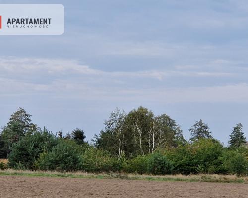 Działka budowlana z wydanymi WZ na 2 domy