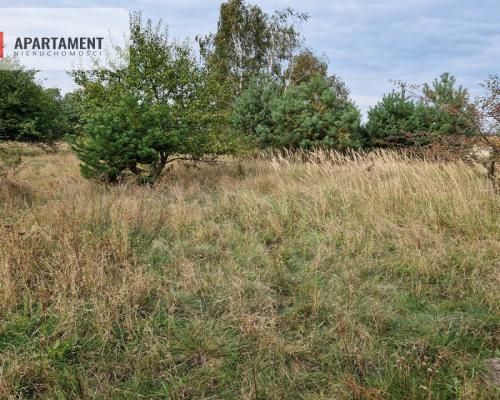 Działka budowlana z wydanymi WZ na 2 domy