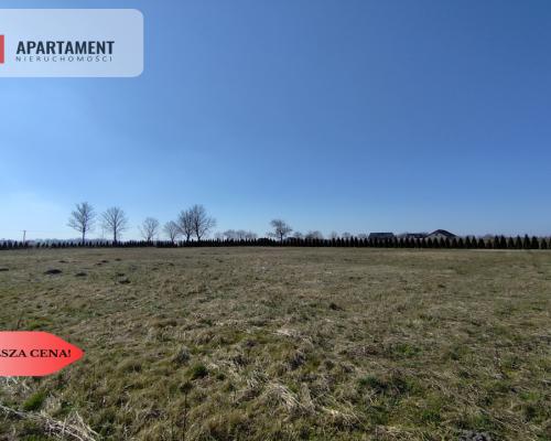 Działka z dużym potencjałem! Warunki zabudowy!