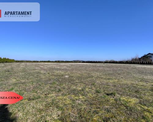Działka z dużym potencjałem! Warunki zabudowy!