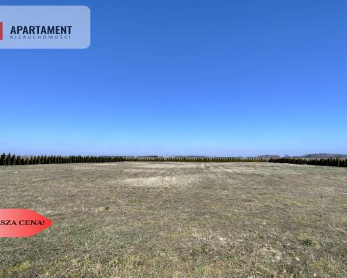Działka z dużym potencjałem! Warunki zabudowy!