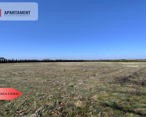Działka z dużym potencjałem! Warunki zabudowy!