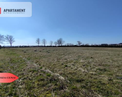 Działka z dużym potencjałem! Warunki zabudowy!
