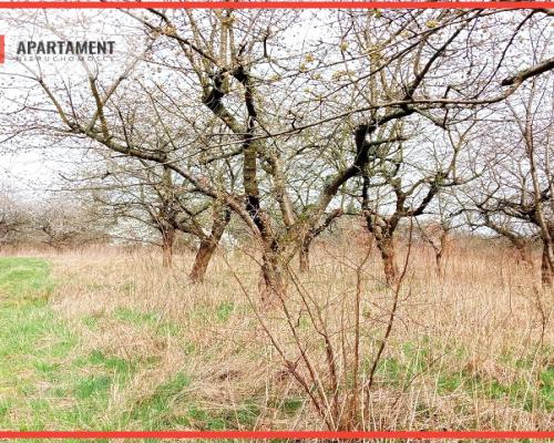 Malownicza działka wsród drzew!!!