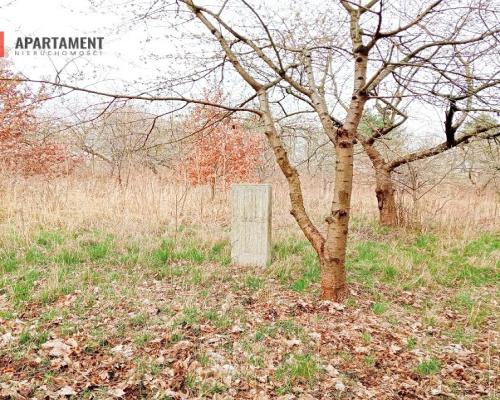Malownicza działka wsród drzew!!!