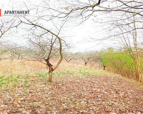 Malownicza działka wsród drzew!!!