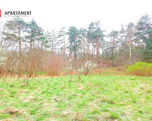 Malownicza działka wsród drzew!!!