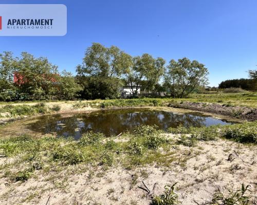 Działka 3000m2 ze stawem! Zabagno, 3km od A1
