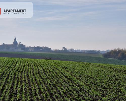 Działka z pięknym widokiem na jezioro Żnińskie